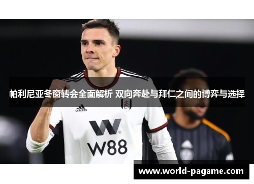 帕利尼亚冬窗转会全面解析 双向奔赴与拜仁之间的博弈与选择