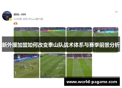 新外援加盟如何改变泰山队战术体系与赛季前景分析