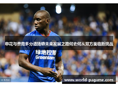 申花与费南多分道扬镳未来发展之路何去何从双方面临新挑战