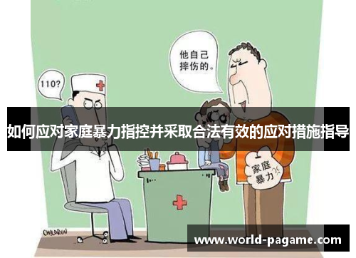 如何应对家庭暴力指控并采取合法有效的应对措施指导