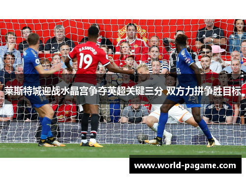 莱斯特城迎战水晶宫争夺英超关键三分 双方力拼争胜目标