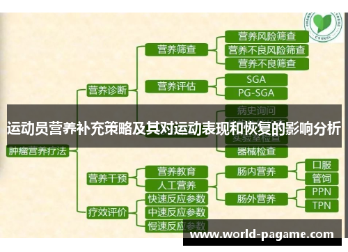 运动员营养补充策略及其对运动表现和恢复的影响分析