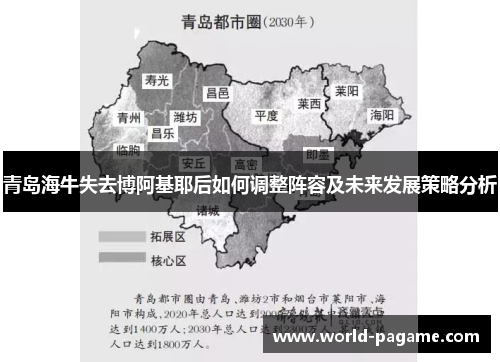 青岛海牛失去博阿基耶后如何调整阵容及未来发展策略分析