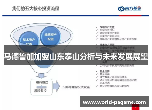 马德鲁加加盟山东泰山分析与未来发展展望