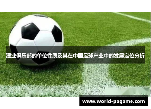 建业俱乐部的单位性质及其在中国足球产业中的发展定位分析