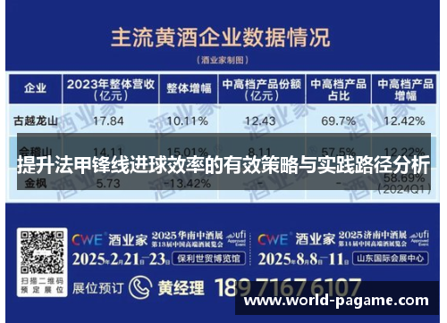 提升法甲锋线进球效率的有效策略与实践路径分析