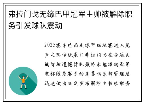 弗拉门戈无缘巴甲冠军主帅被解除职务引发球队震动